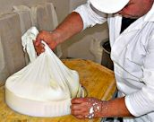 Cheese Making and Olive Oil Tasting Tour